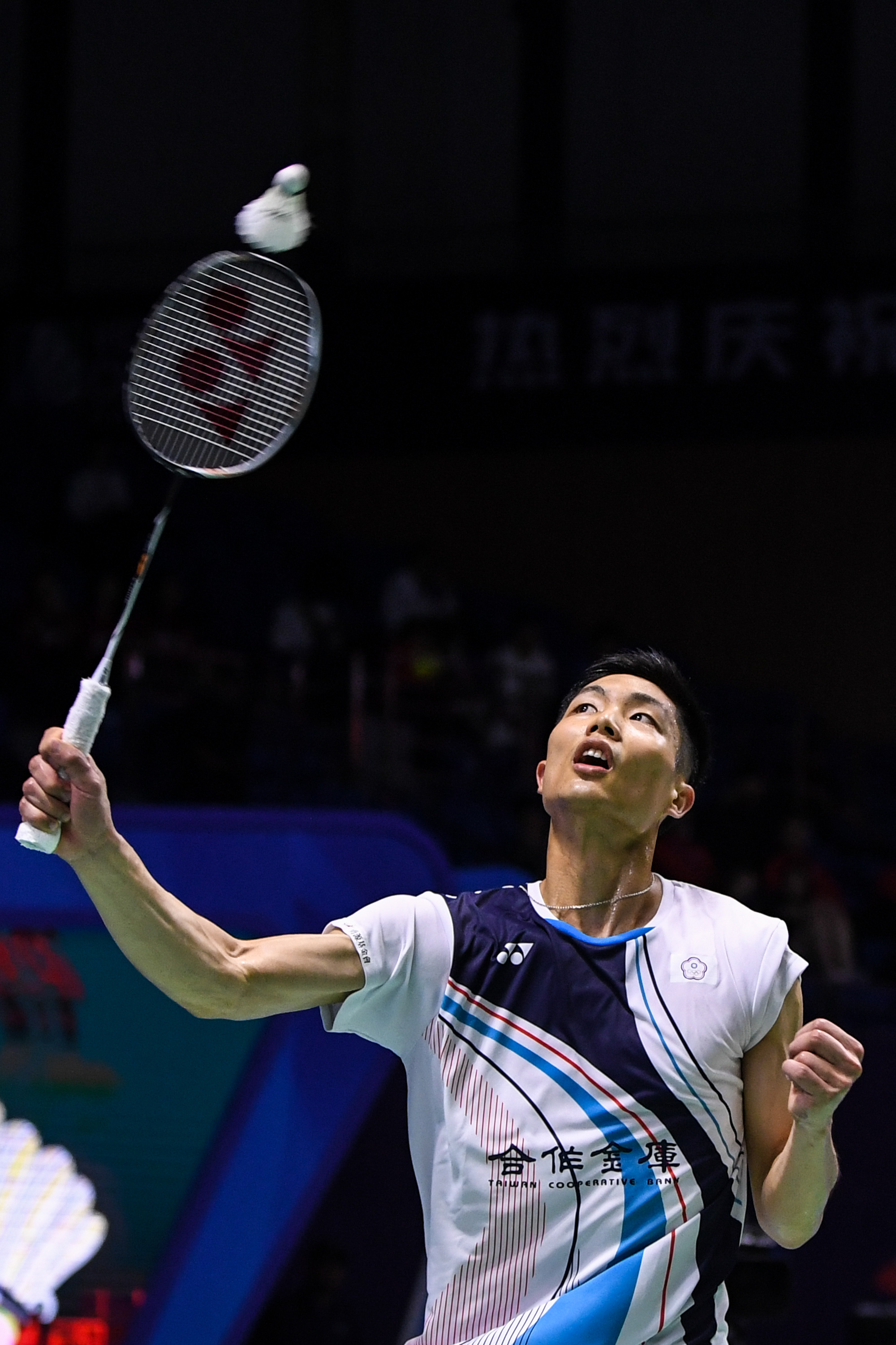 意甲女排 意甲女排