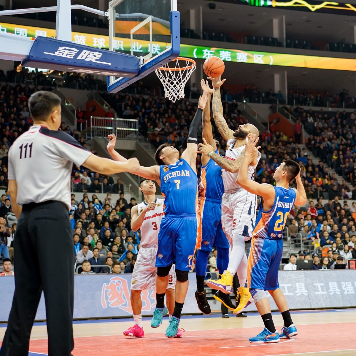 AG的首龙 AG的首龙